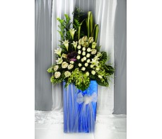 Condolences Arrangement