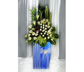 Condolences Arrangement
